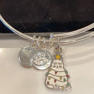 - Alex & Ani NWOT Bracelet